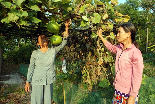 Bí thư Chi bộ thôn Nam Định - Nguyễn Thị Anh (bên trái) luôn được nhân dân địa phương tin yêu.