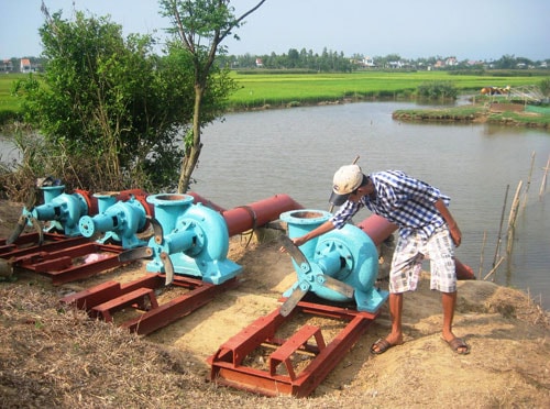 Lắp đặt máy bơm dã chiến tại khu vực cầu Thấn (Duy Phước, Duy Xuyên) để cứu lúa. Ảnh: MAI NHI