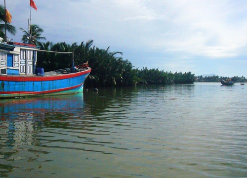 Tàu vào neo trú trong rừng dừa nước Cẩm Thanh.