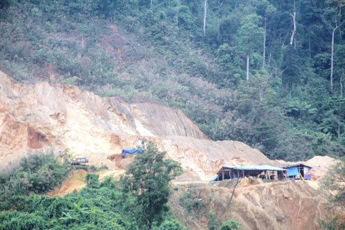 Lợi dụng sự buông lỏng quản lý, các công ty khai thác vàng đã lấn sát rừng phòng hộ, nằm ngoài diện tích cho phép.