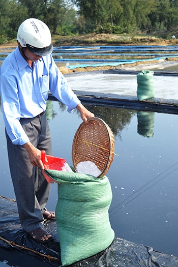 Ông Ngô Văn Hiệp bên sản phẩm muối vừa thu hoạch.Ảnh: QUANG VIỆT