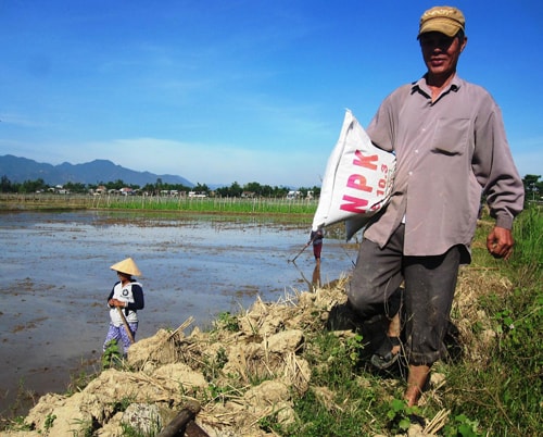 Giá phân bón bình ổn, nông dân trút bớt gánh lo. Ảnh: T.S