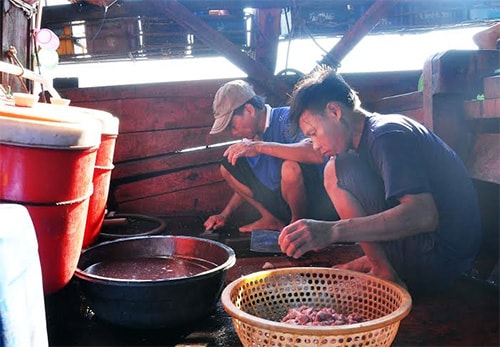 Trên tàu câu mực khơi, ngoài các bạn câu thì các “lính hậu cần” có vai trò khá quan trọng, đảm bảo dinh dưỡng cho các bạn câu trên tàu.