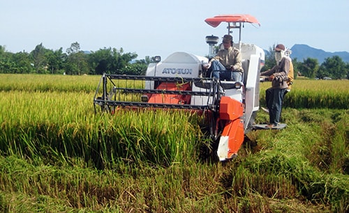 HTX đang dần khẳng định vai trò của mình trong việc phát triển kinh tế nông nghiệp, nông thôn trên toàn tỉnh.Ảnh: N.D