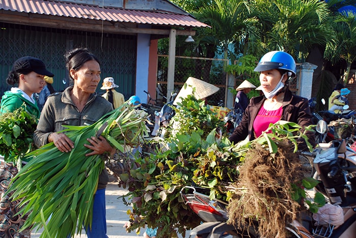 Ai cũng cố gắn mua cho mình ít loại lá để bổ sung cho bộ sưu tập lá của gia đình.