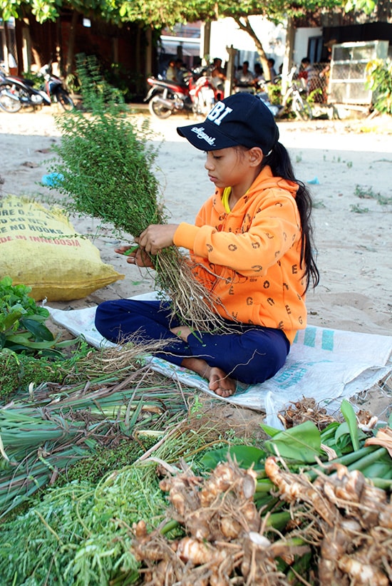 Cô bé này tranh thủ nghĩ hè phụ mẹ đi hái lá bán.