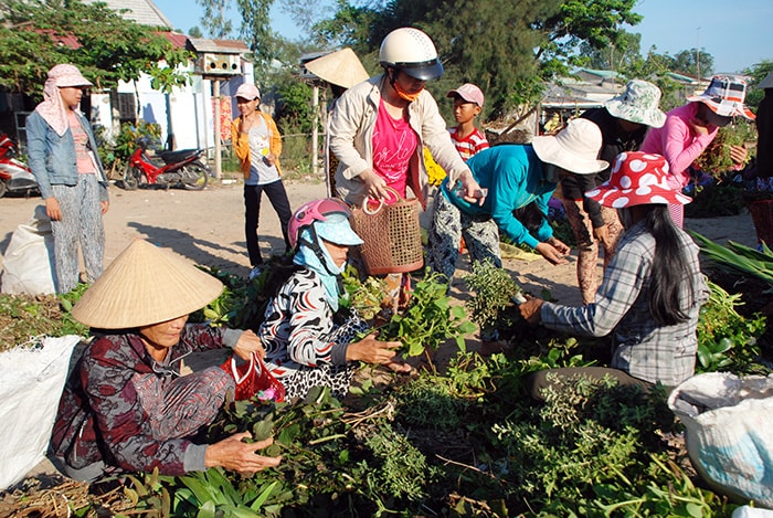 Mùi thơm của hàng trăm loại cây lá tạo nên nét đặc trưng riêng của phiên chợ lá.