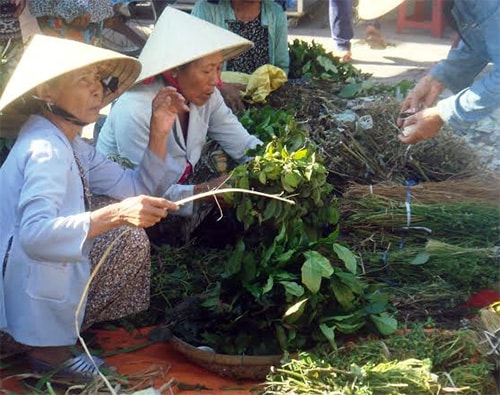 Những cây lá mồng 5 là mặt hàng không thể thiếu vào dịp Tết Đoan ngọ.