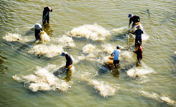 Giặt lưới.