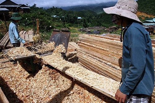  Một tốp thợ đang bào ván, dựng nhà mới.