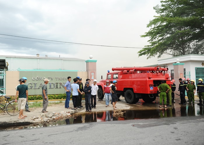 Công ty Da Dinh bị cháy.