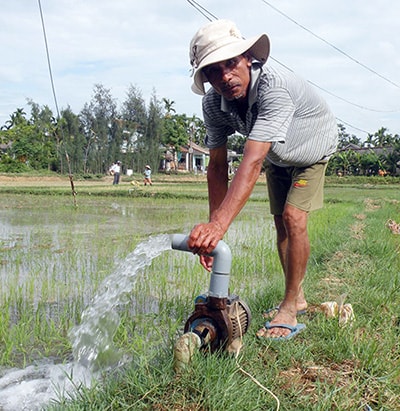 Hết cách, nhiều người liều bơm nước mặn từ giếng khoan lên chống hạn, dù biết sẽ thất bại.