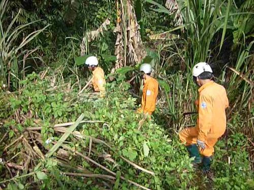 Công nhân Điện lực Đại Lộc tìm đường giải quyết sự cố về điện trên tuyến Bến Giằng - Đắc Chưng.