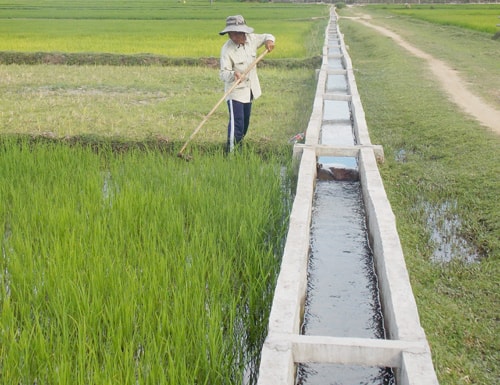 Kiên cố hóa kênh mương đã góp phần nâng cao hiệu quả trong sản xuất nông nghiệp ở thôn Dương Đàn. Ảnh: T.T