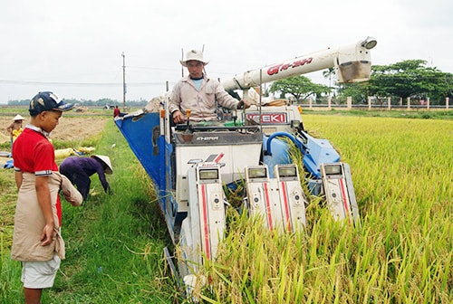 Cơ giới hóa tại Duy Sơn 2. Ảnh: T.DŨNG