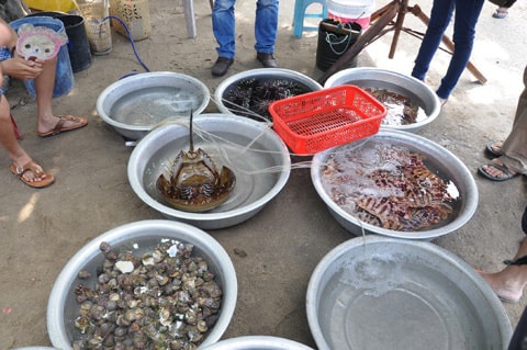 Fresh seafood at Cham Island market