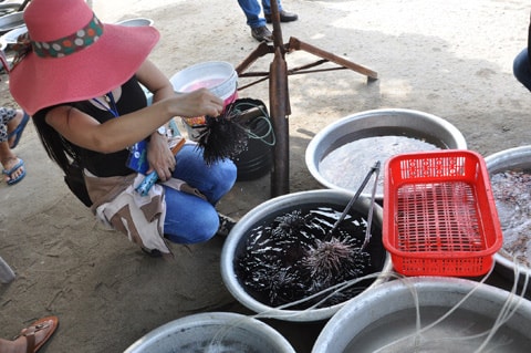 The instant sea-food market