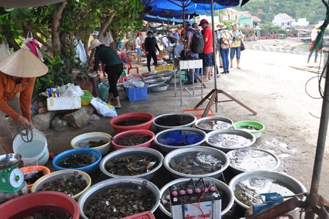 Many kinds of sea-food for tourists’ choices