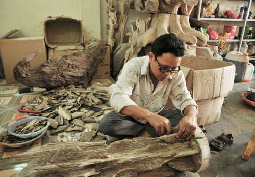 Nghệ nhân làng trầm Trung Phước đang tạo dáng cho cây trầm cảnh.Ảnh: V.C.L