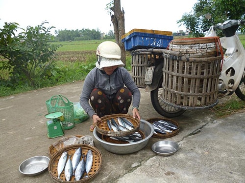 Gánh cá quen đỗ ngay đầu xóm, chờ các mẹ các dì xách rổ chạy ra mua.