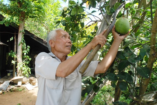 Thương binh Lê Văn Hương là tấm gương làm kinh tế giỏi, luôn đi đầu trong các phong trào ở địa phương. Ảnh: L.HOÀNG