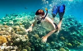 Hard coral reefs in Cham Island attract many tourists.