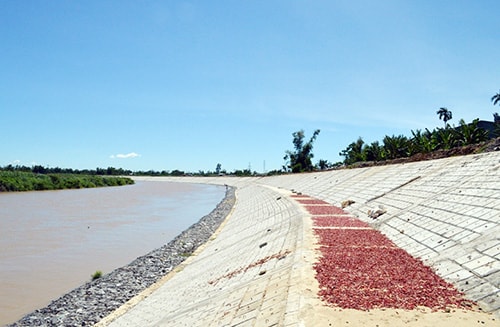 Tuyến kè hoàn thành sẽ giúp người dân thôn Phước Yên yên tâm ổn định cuộc sống trong mùa mưa lũ năm nay.Ảnh: VĨNH LỘC