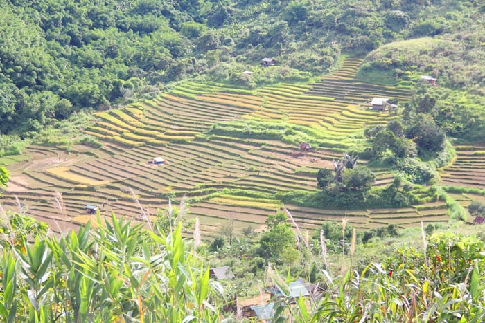 Những thửa ruộng bậc thang quyến rũ.