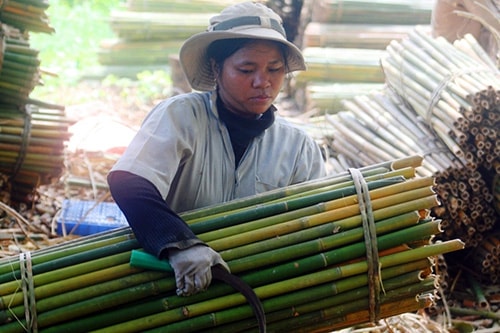 Cơ hội tìm việc làm cho thanh niên vùng cao thường rất khó khăn. Trong ảnh: Một phụ nữ Cơ Tu ở Đông Giang làm việc cho xưởng chuyên phân phối nứa tại địa phương.