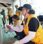 Thành viên đoàn tình nguyện Hội Chữ thập đỏ TP. Pyeong Taek sơn nhà giúp người dân.