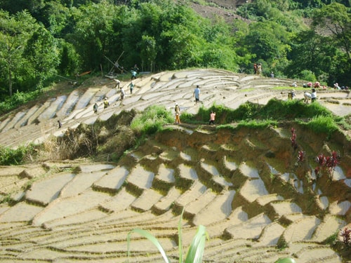 Đồng bào các dân tộc thiểu số ở Nam Trà My đoàn kết giúp nhau sản xuất mùa vụ.Ảnh: Hoàng Thọ