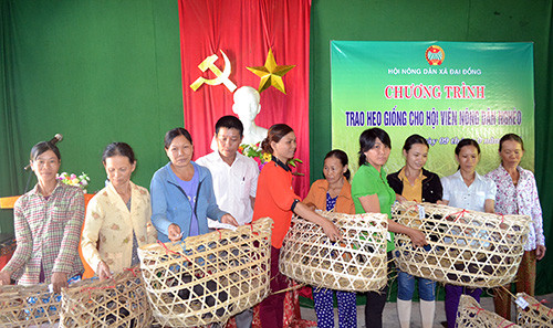Hội viên nông dân nghèo xã Đại Đồng được nhận heo giống. Ảnh: X.Trinh