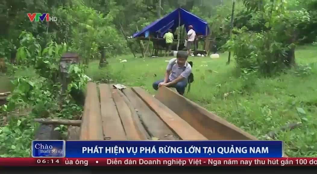 Phá rừng tại Nông Sơn