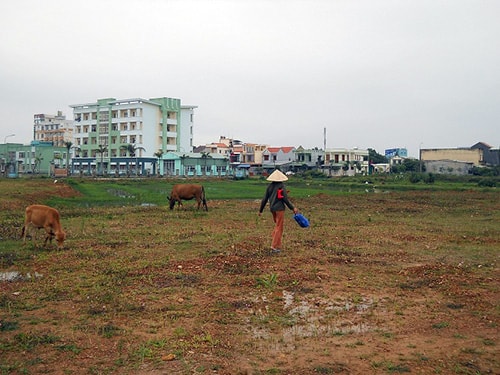 Khu vực dự án Khu dân cư Đông Tân Thạnh đã áp giá bồi thường. Ảnh: H.P