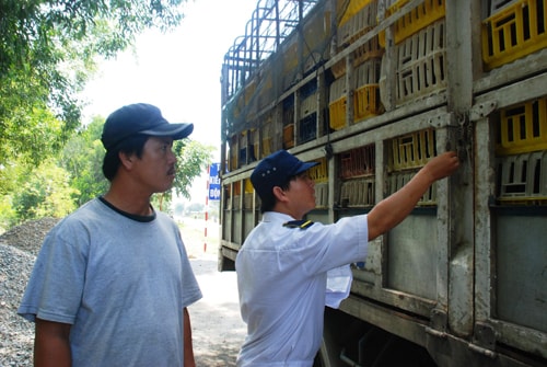 Cần siết chặt khâu kiểm soát, kiểm dịch trên các tuyến giao thông trọng yếu.