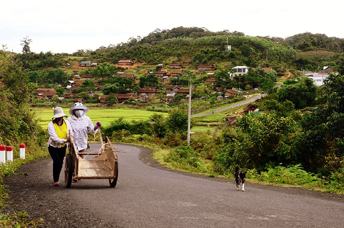 Măng Đen cách thị xã Kon Tum 50km, TP.Quảng Ngãi 137 km và được nhìn nhận là điểm khởi đầu của tuyến du lịch “Con đường xanh Tây Nguyên”, kết nối với tuyến du lịch “Con đường Di sản miền Trung” và “Con đường huyền thoại Hồ Chí Minh” để hình thành tuyến du lịch xuyên quốc gia. 