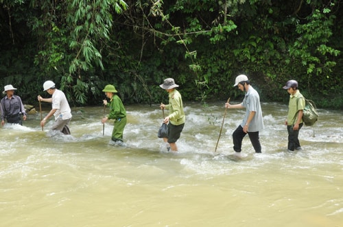 Tuần tra rừng trong Khu bảo tồn thiên nhiên Sông Thanh. Ảnh: T.N