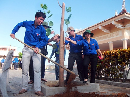 Tuổi trẻ huyện Phú Ninh trồng cây lưu niệm trên đảo Lý Sơn. Ảnh: VĂN HÀO