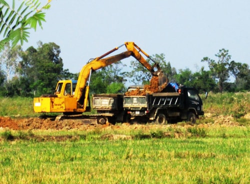 Đơn vị thi công múc đất ruộng chở đi. (Ảnh chụp chiều ngày 3.10). Ảnh: HOÀI NHI