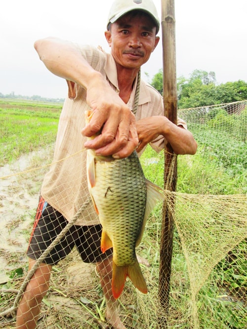 Tóm được con cá gáy to.