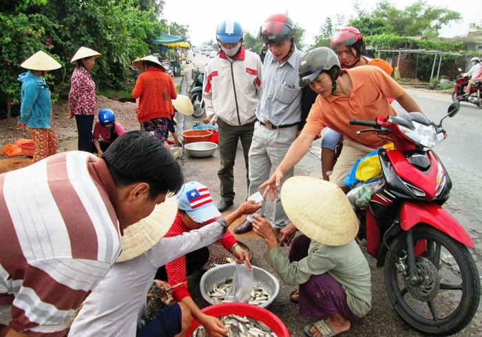 Người đi đường tranh nhau mua cá.