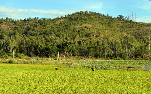 Dãy núi thấp đoạn qua Duy Trinh với giả thuyết về sự hiện hữu của con đường bộ mà người Chăm xưa đã hành hương về Mỹ Sơn. Ảnh: G.KHANG