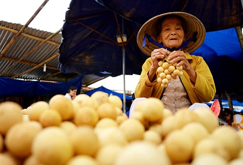 Lòn bon được bán nhiều ở chợ Tiên Kỳ. Ảnh: PHƯƠNG THẢO