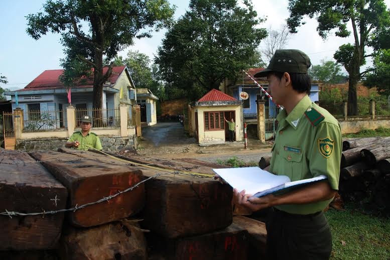 Lực lượng kiểm lâm tạm giữ số gỗ tang vật tại trạm kiểm lâm dốc Kiền