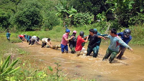 Kéo gỗ làm cầu cho dân. Ảnh: ĐÌNH HIỆP