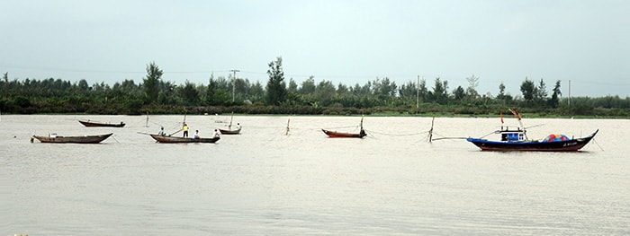 Nhộn nhịp dòng sông.