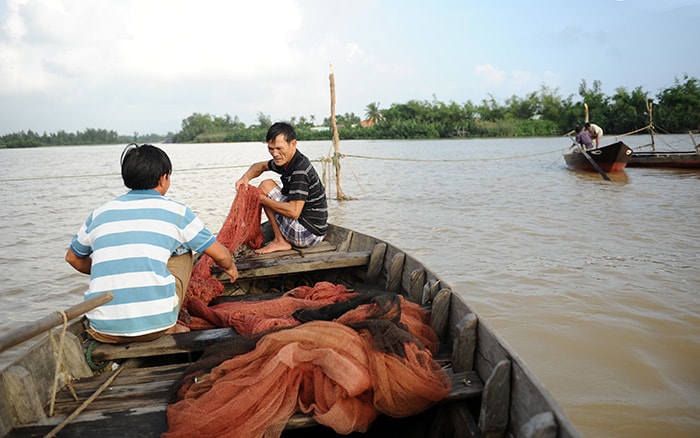 Thả lưới.