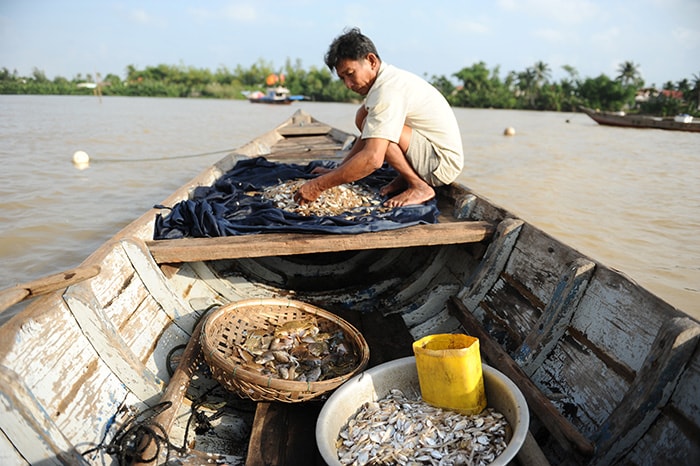  Thành quả của dân chài.