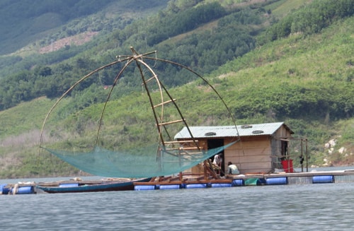 Nhiều hộ dân tiếp tục mở rộng mô hình nuôi cá lồng bè ở lòng hồ thủy điện Sông Tranh 2. Ảnh H.L