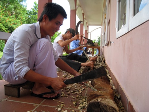 Các tình nguyện viên đang chặt cây thuốc nam.